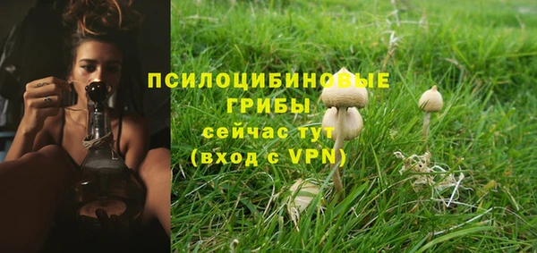 2c-b Пролетарск
